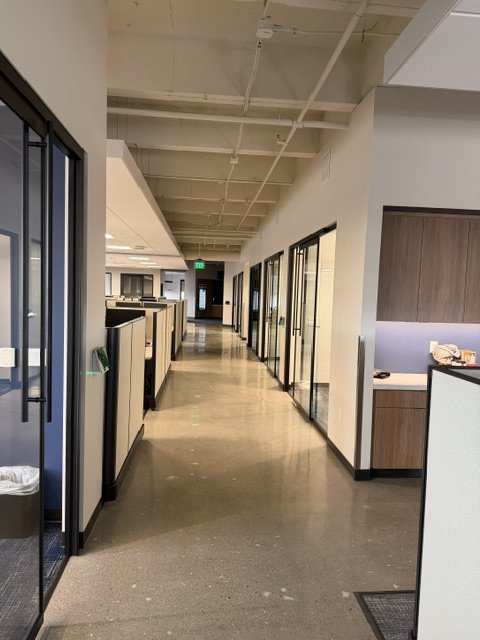 Absolute Flooring project 8
