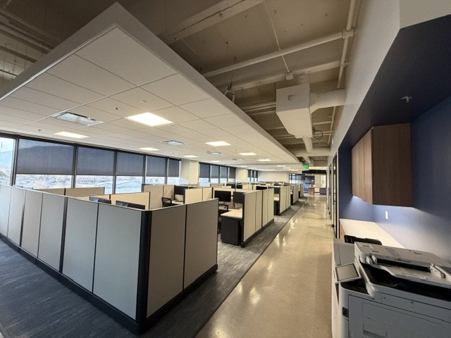 Absolute Flooring project 7